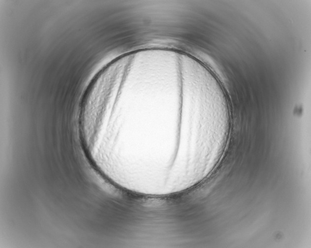 X0000090421235200708101935