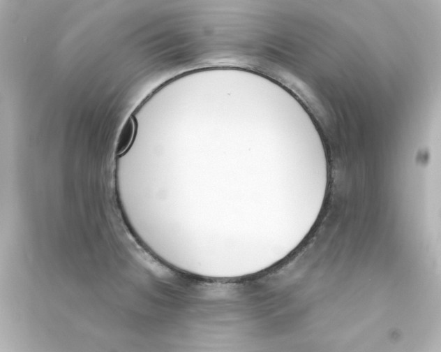 X0000090421236200708101935