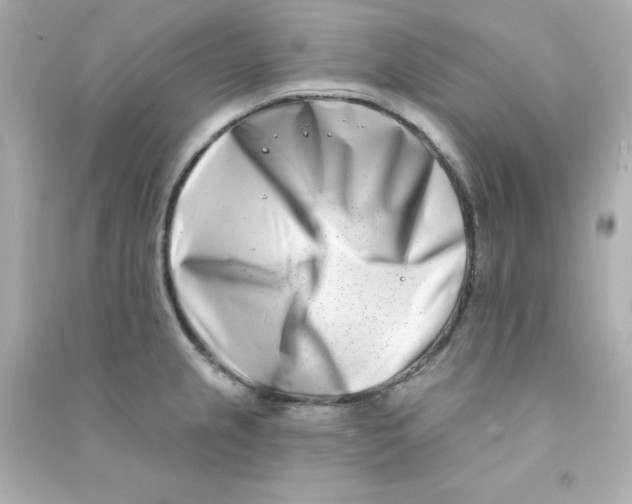 X0000090421237200708101935