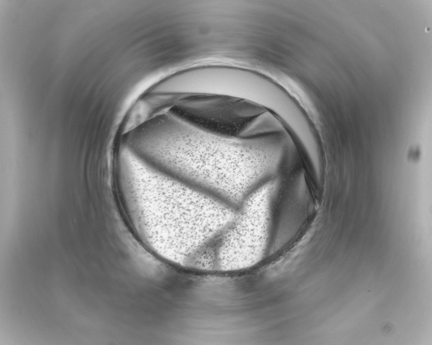 X0000090421238200708101935