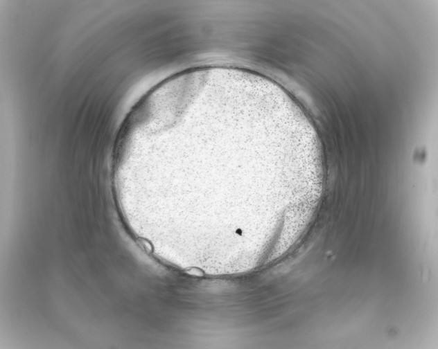 X0000090421239200708101935