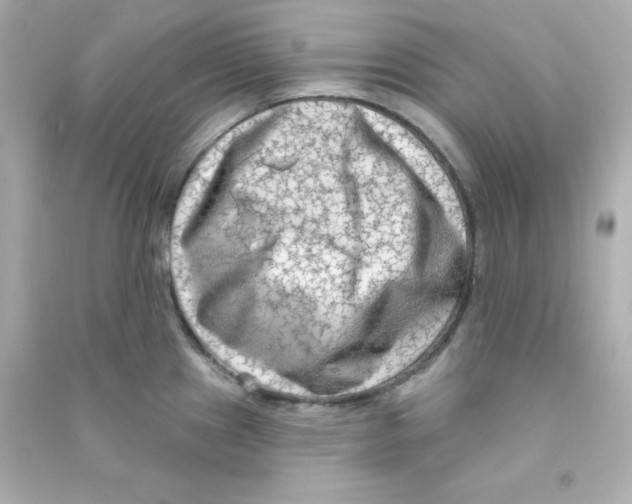 X0000090421241200708101935