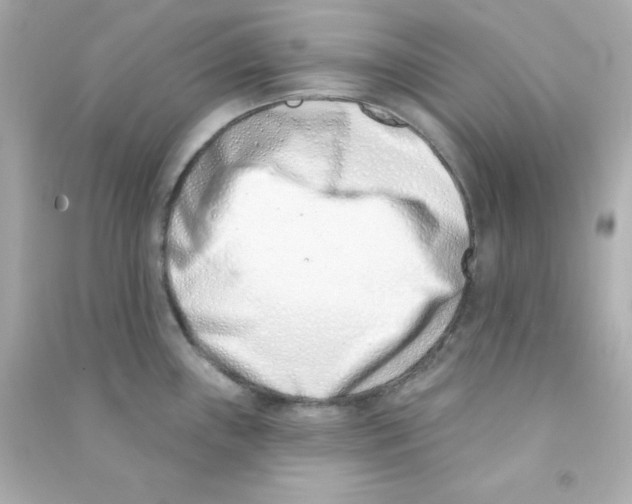X0000090421243200708101935