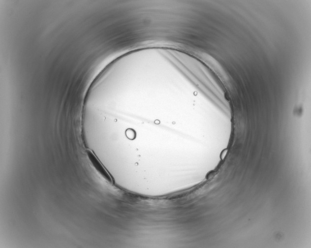 X0000090421244200708101935