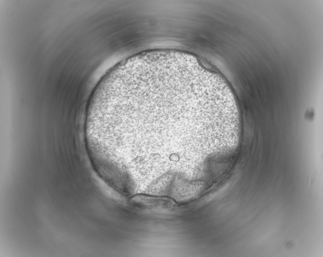 X0000090421245200708101935