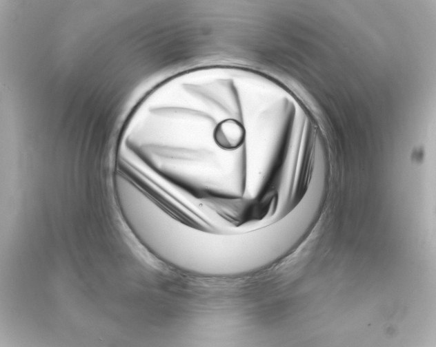 X0000090421246200708101935