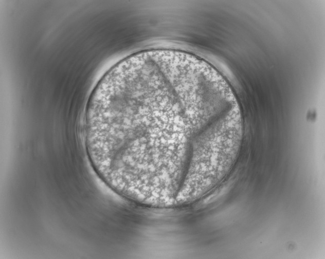 X0000090421247200708101935