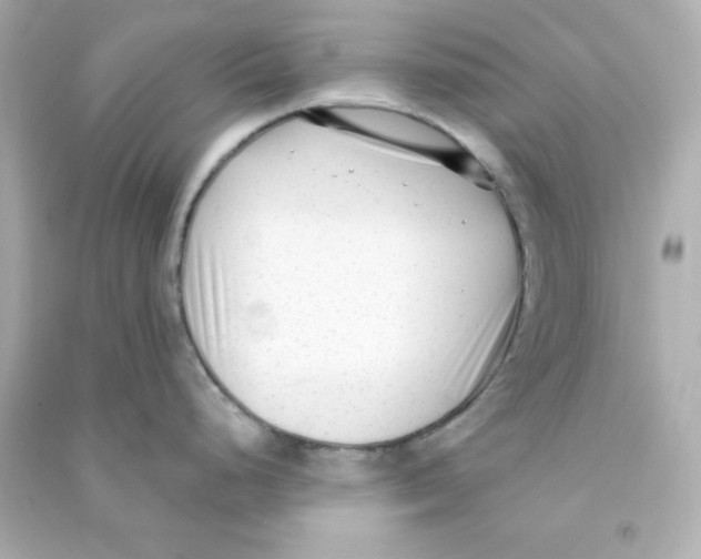 X0000090421248200708101935