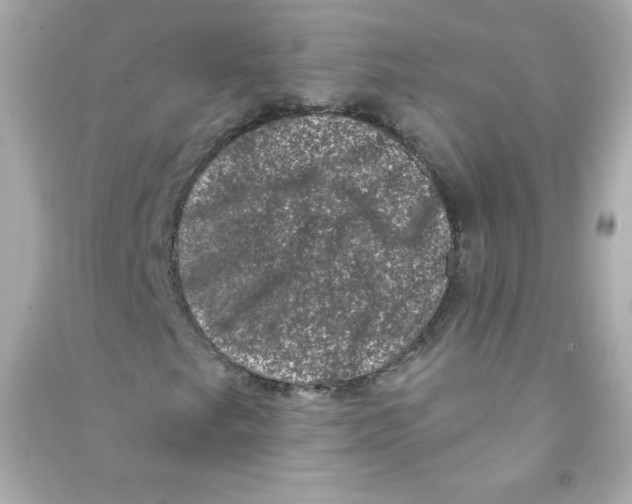 X0000090421249200708101934