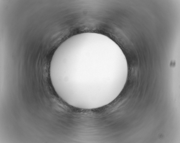 X0000090421250200708101934