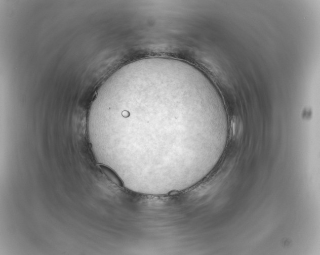 X0000090421251200708101934