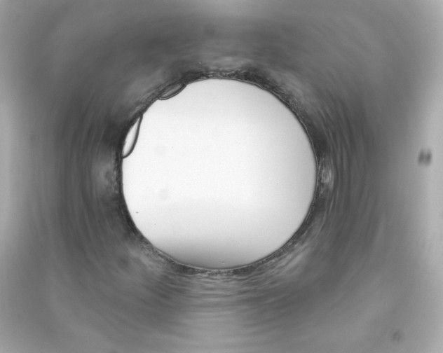 X0000090421252200708101934