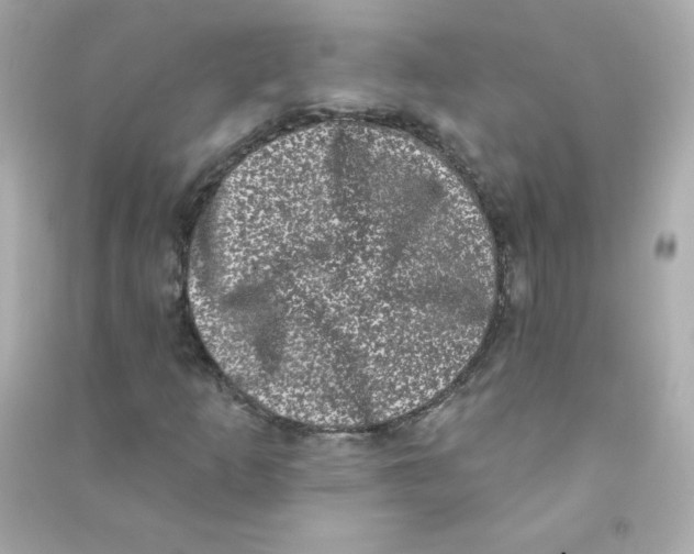 X0000090421253200708101934