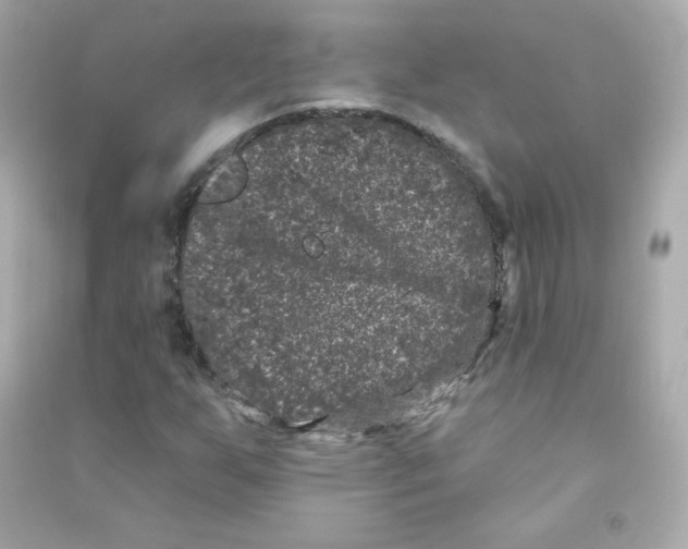 X0000090421255200708101934