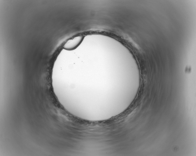X0000090421256200708101934