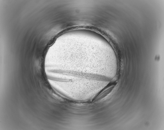 X0000090421257200708101934