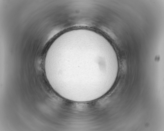 X0000090421258200708101934