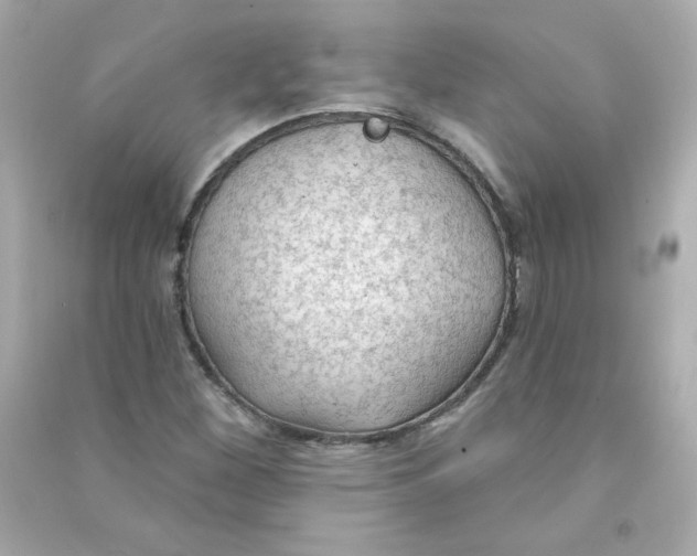 X0000090421260200708101934