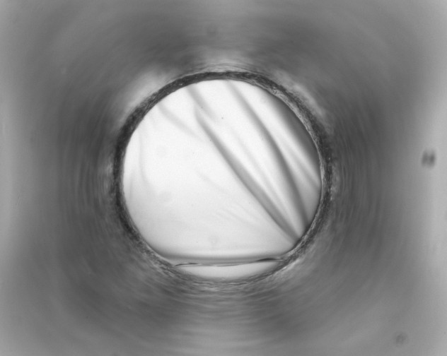 X0000090421261200708101934