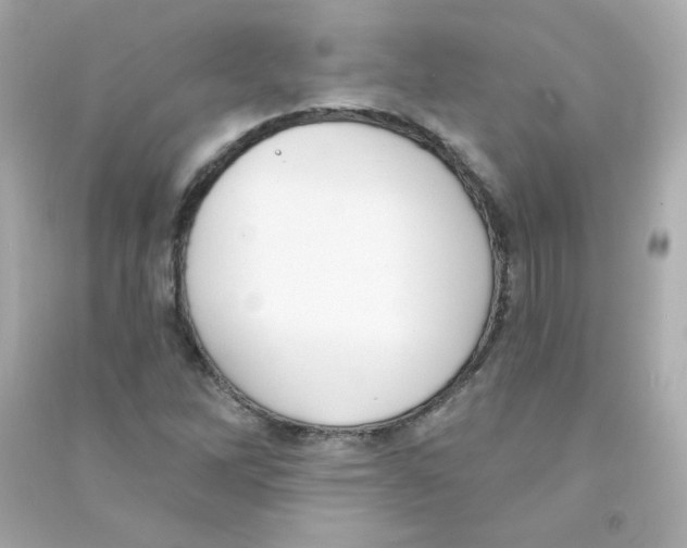 X0000090421262200708101934