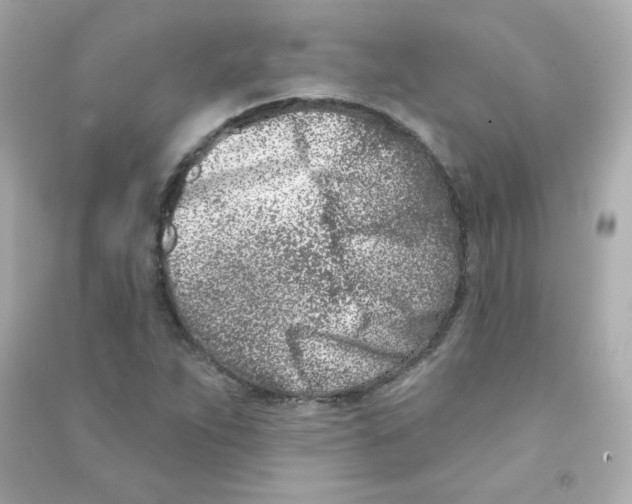 X0000090421263200708101934