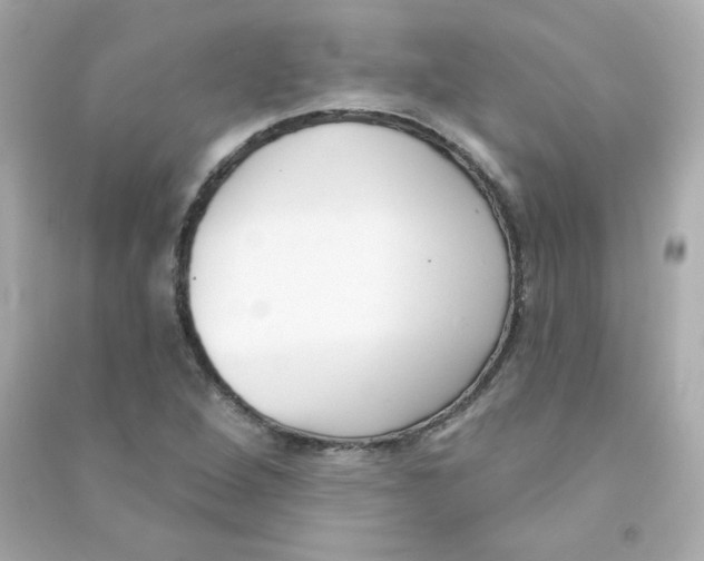 X0000090421264200708101934