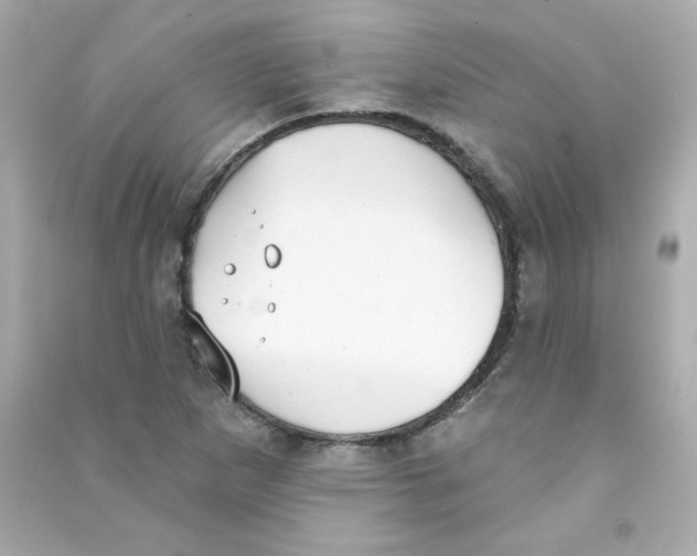 X0000090421265200708101934