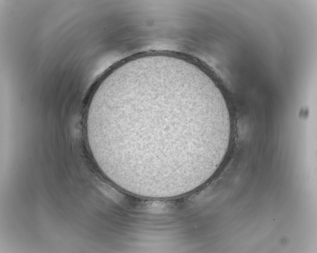 X0000090421266200708101934