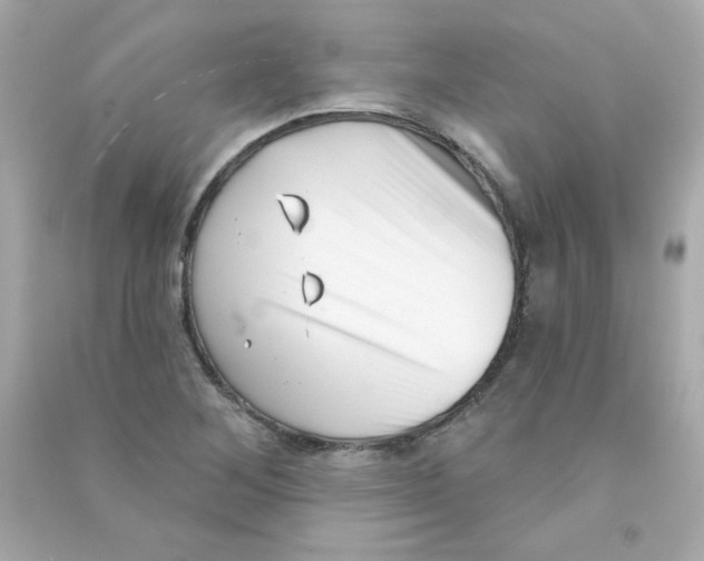 X0000090421268200708101934