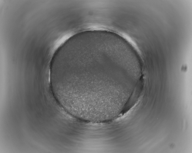 X0000090421269200708101934