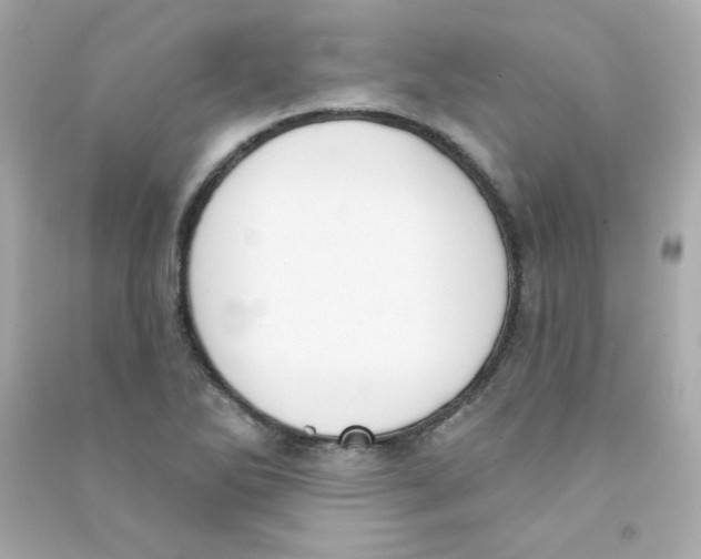 X0000090421270200708101934