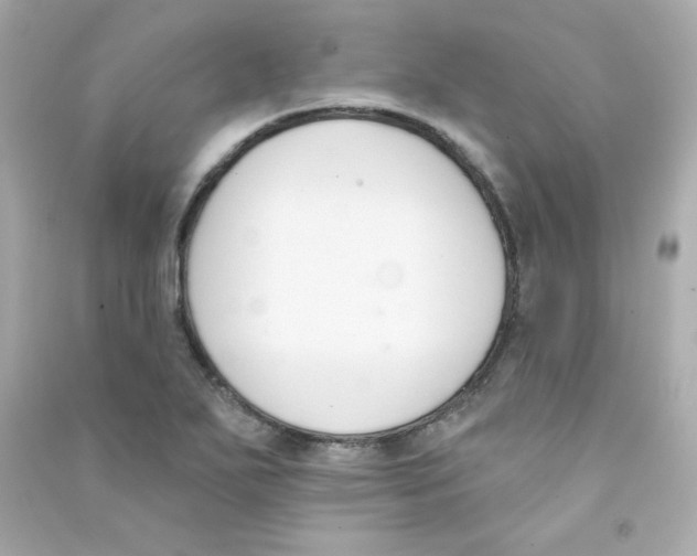 X0000090421271200708101934