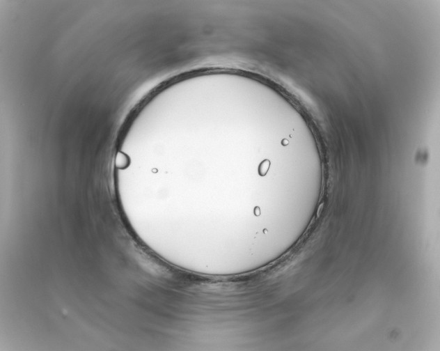 X0000090421272200708101934