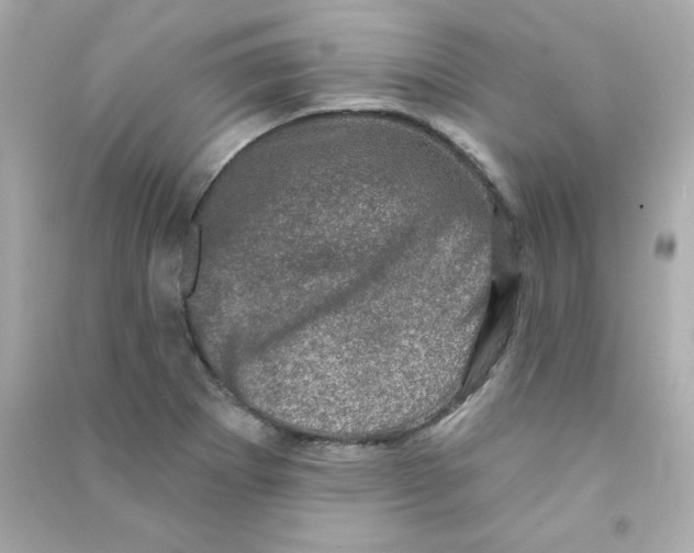 X0000090421273200708101934