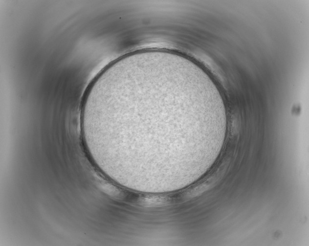 X0000090421274200708101934