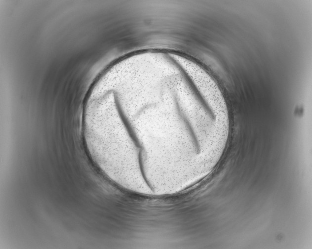 X0000090421275200708101934