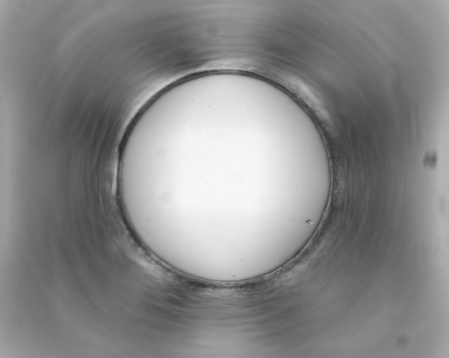 X0000090421276200708101934