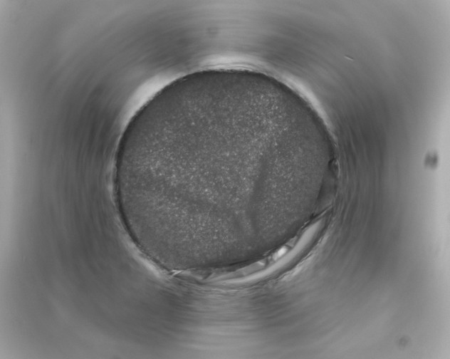 X0000090421277200708101934