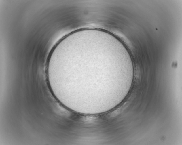 X0000090421278200708101934
