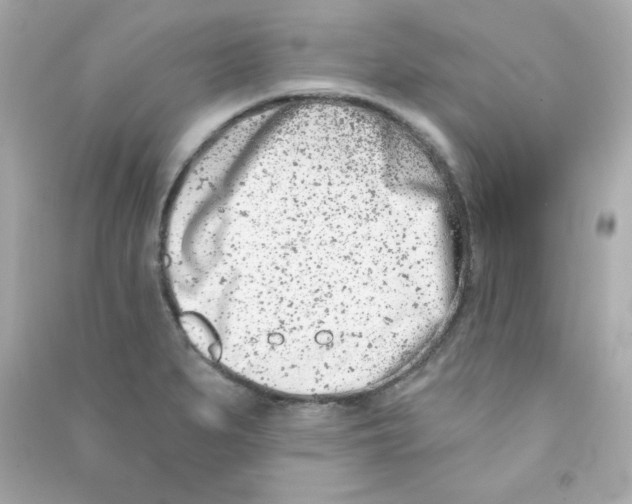 X0000090421279200708101934