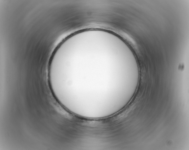 X0000090421280200708101934