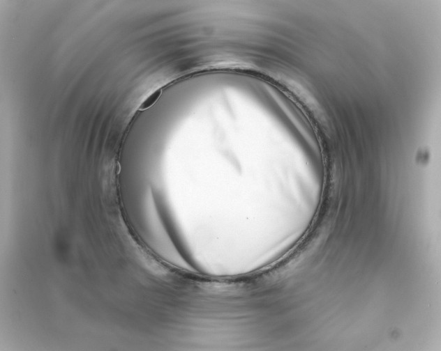 X0000090421281200708101934