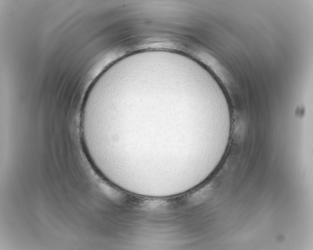 X0000090421282200708101934
