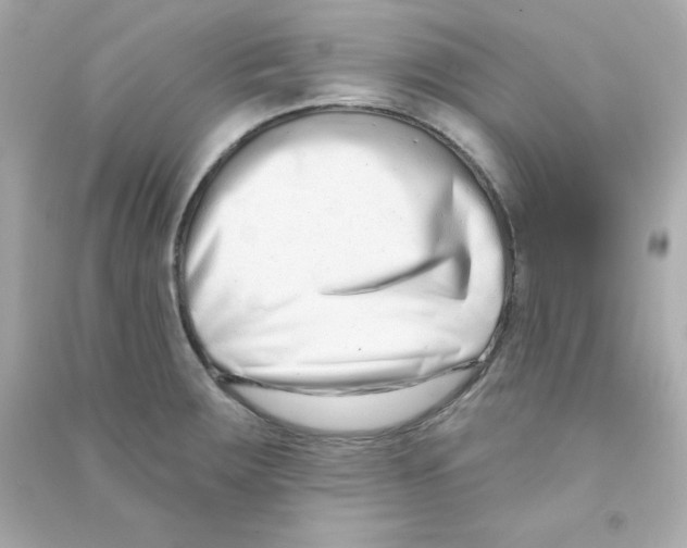 X0000090421283200708101934