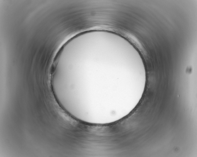 X0000090421284200708101934