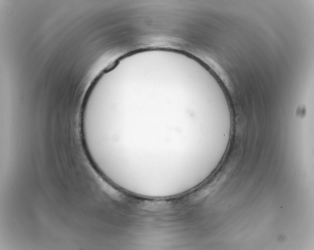X0000090421285200708101934