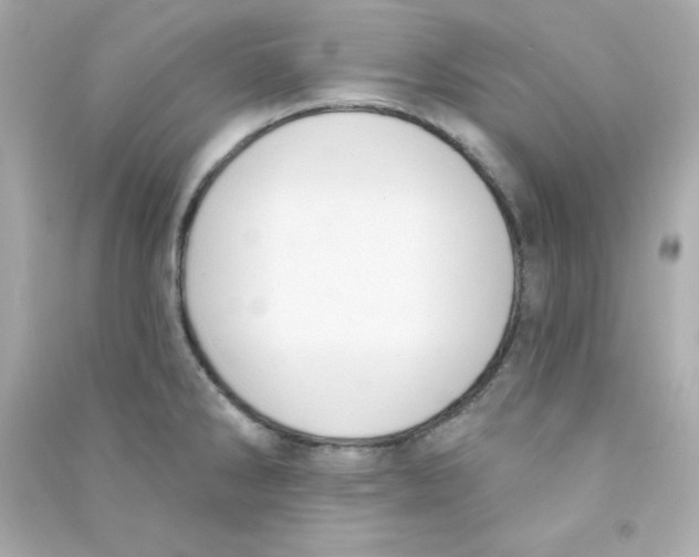 X0000090421286200708101934