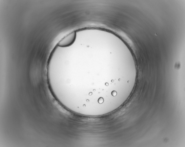 X0000090421287200708101934