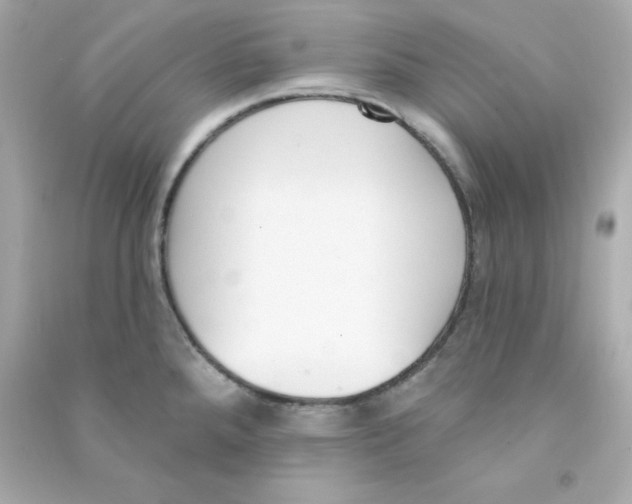 X0000090421288200708101934