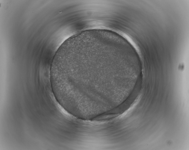 X0000090421289200708101934